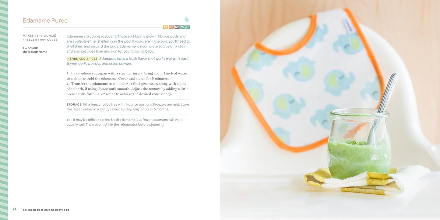 The Big Book Of Organic Baby Food | Canada Feeding Hip Mommies