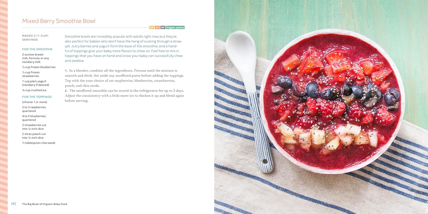 The Big Book Of Organic Baby Food | Canada Feeding Hip Mommies