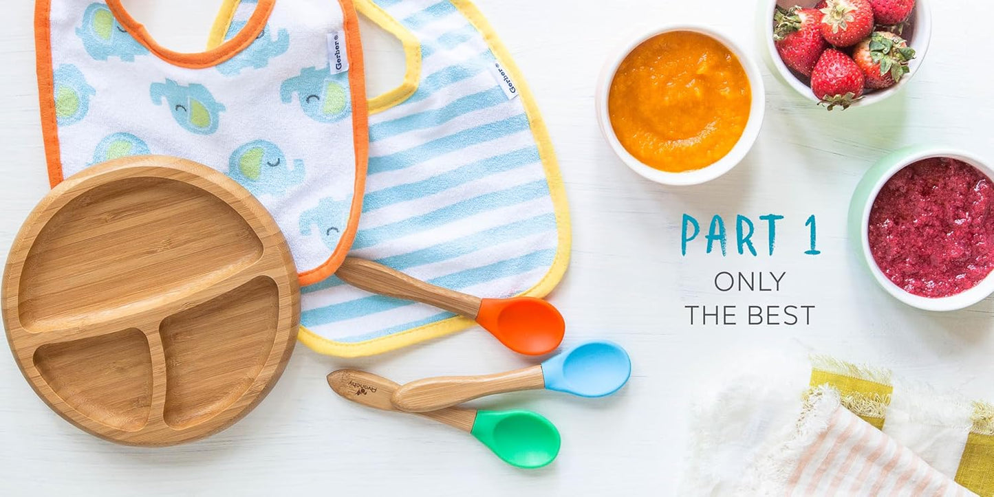 The Big Book Of Organic Baby Food | Canada Feeding Hip Mommies