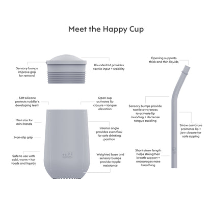 ezpz Happy Cup + Straw System in Pewter